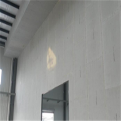 广宁宁波ALC板|EPS加气板隔墙与混凝土整浇联接的实验研讨